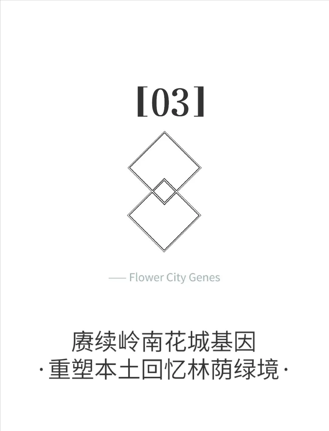 1734429855224.jpg